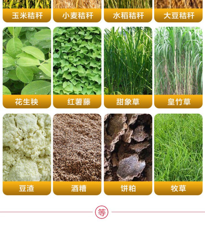 青貯飼料發酵劑
